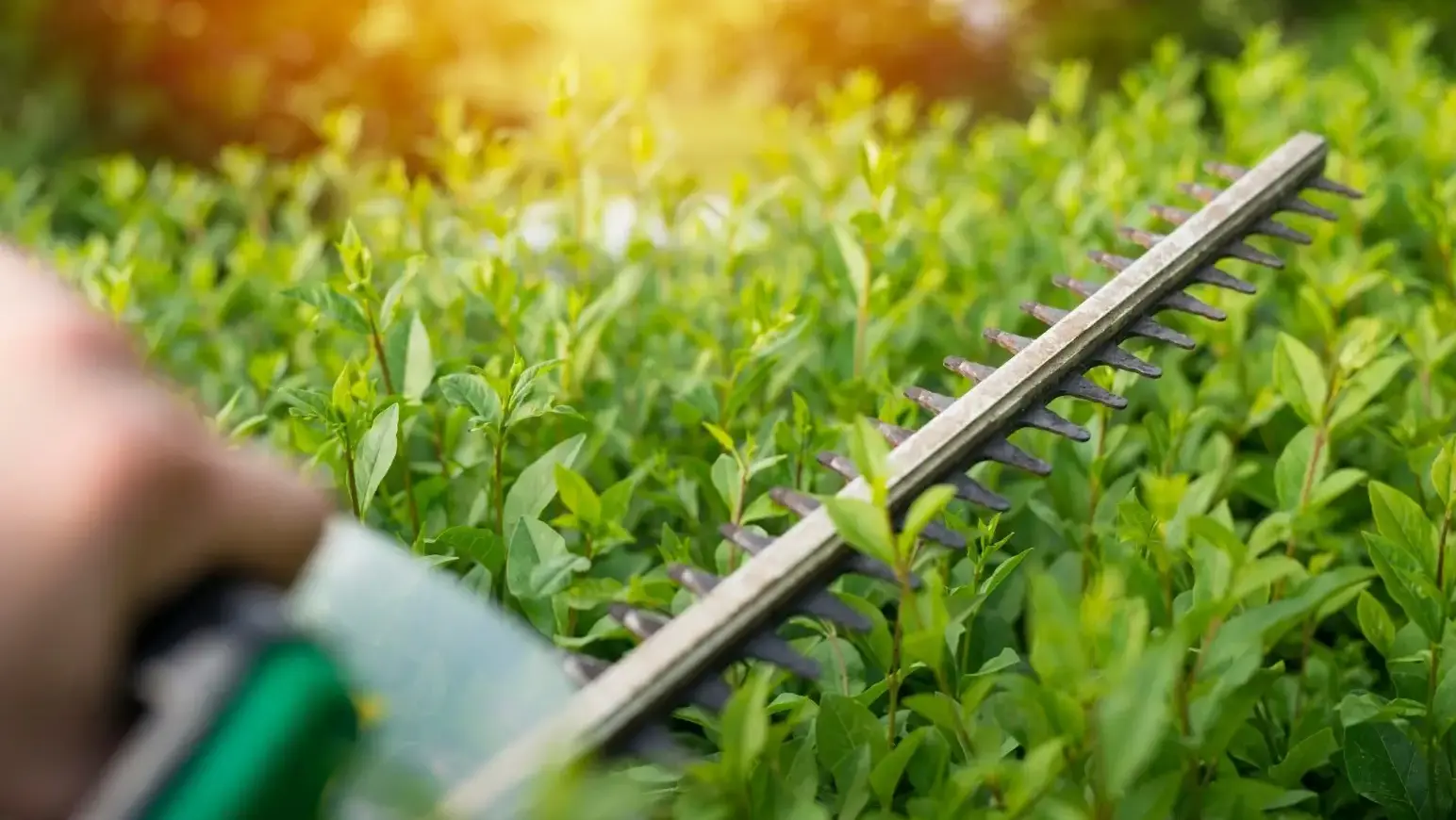 podcinarki do gałęzi i krzewów